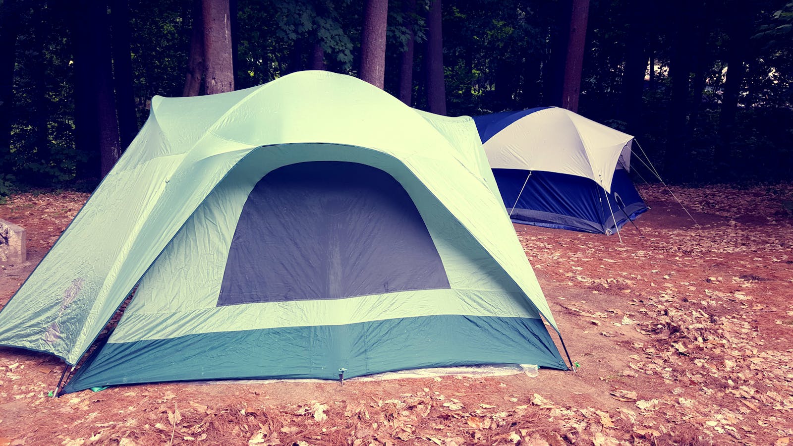 Family Camping Tips: Keeping Kids Happy Outdoors