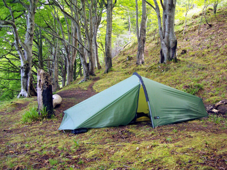 Wild Camping vs. Campgrounds: Pros and Cons